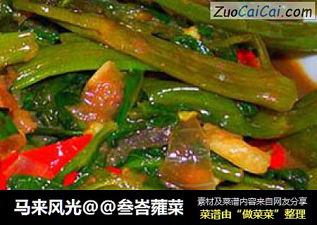 马来风光@@叁峇蕹菜