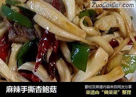 麻辣手撕杏鲍菇