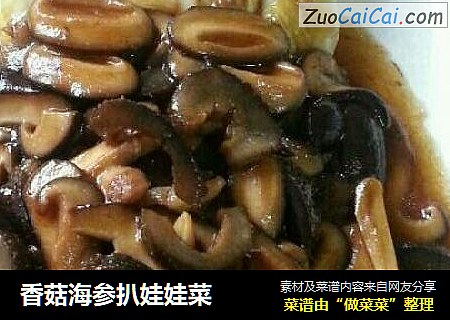 香菇海参扒娃娃菜
