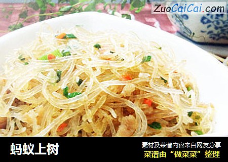 蚂蚁上树