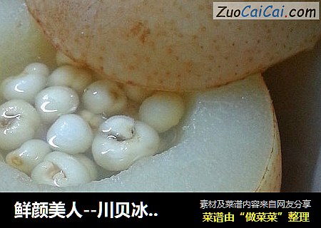 鲜颜美人--川贝冰糖炖雪梨