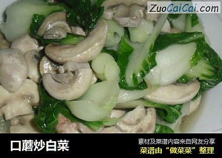 口蘑炒白菜