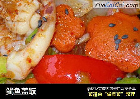 鱿鱼盖饭