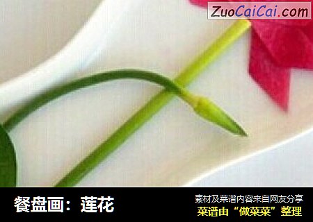 餐盘画：莲花