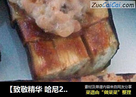 【致敬精华 哈尼22】肉沫烤茄子