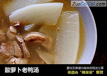酸萝卜老鸭汤