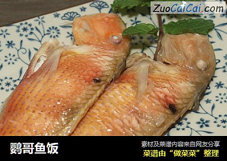 鹦哥鱼饭