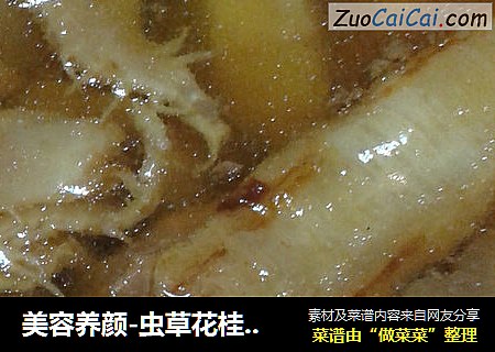 美容养颜-虫草花桂圆红枣炖黄花胶