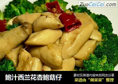 鲍汁西兰花杏鲍菇仔