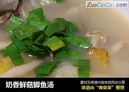 奶香鲜菇鲫鱼汤