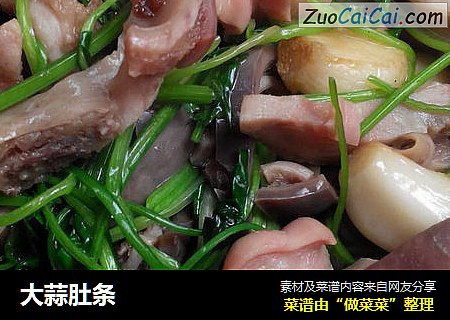 大蒜肚条