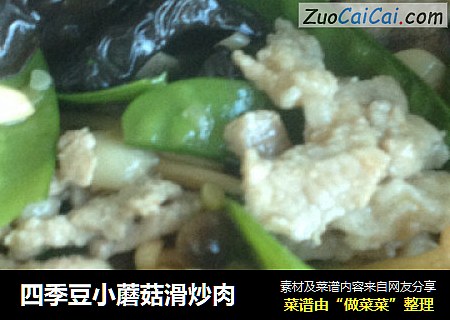 四季豆小蘑菇滑炒肉