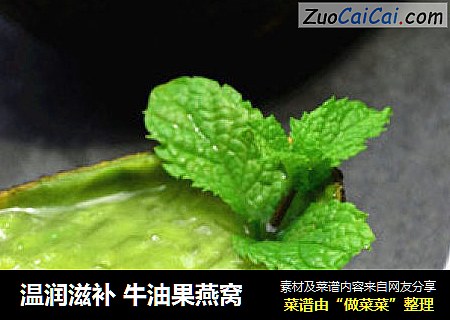 温润滋补 牛油果燕窝