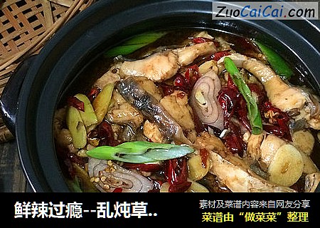 鲜辣过瘾--乱炖草鱼片