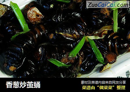 香葱炒茧蛹