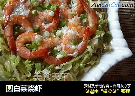 圆白菜烧虾