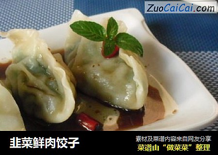 韭菜鲜肉饺子