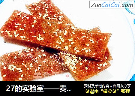 27的实验室——麦芽糖猪肉脯