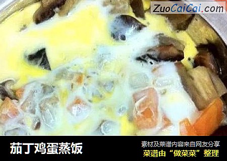 茄丁鸡蛋蒸饭