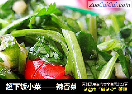 超下饭小菜——辣香菜