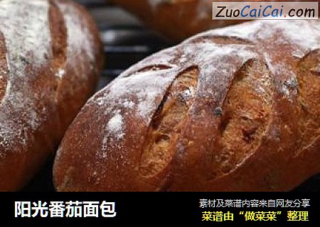 阳光番茄面包