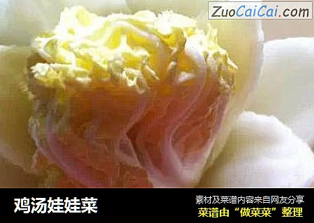 鸡汤娃娃菜