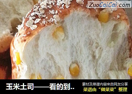 玉米土司——看的到颗颗玉米粒的土司