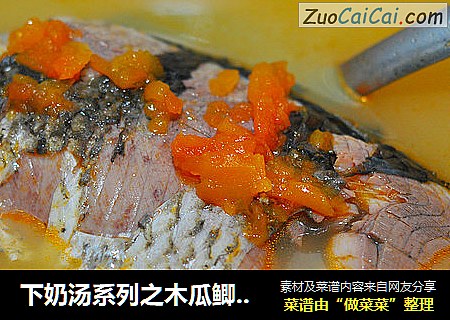 下奶汤系列之木瓜鲫鱼汤