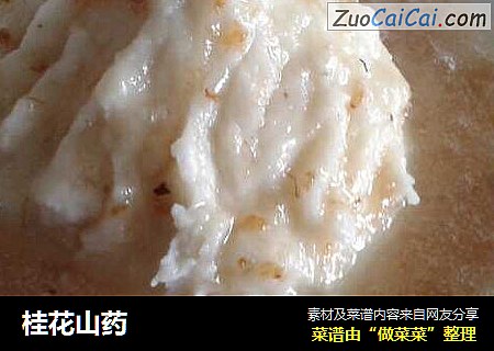 桂花山药
