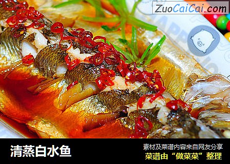 清蒸白水鱼