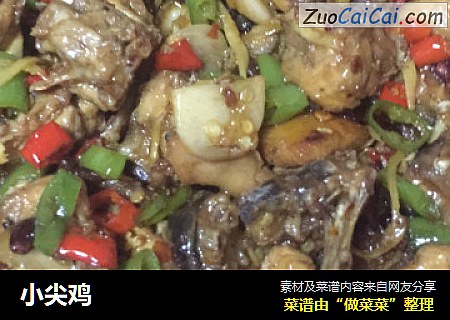 小尖鸡