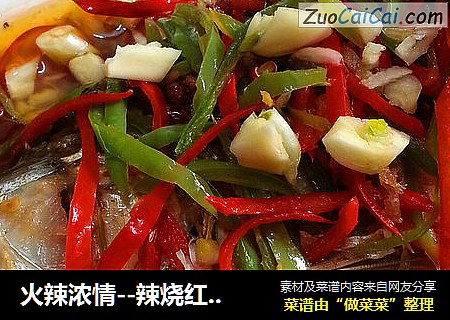 火辣浓情--辣烧红尾鱼