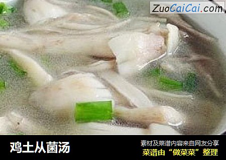 鸡土从菌汤
