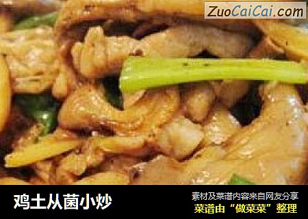 鸡土从菌小炒