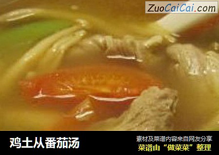 鸡土从番茄汤