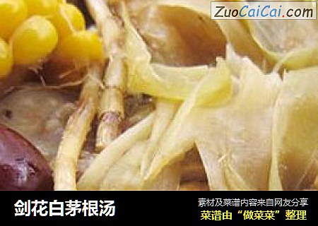 剑花白茅根汤