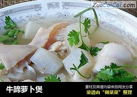 牛蹄萝卜煲