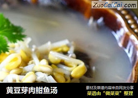 黄豆芽肉魽鱼汤