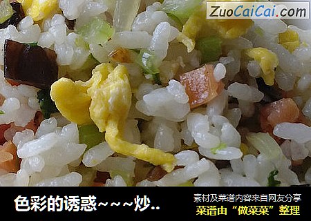 色彩的诱惑~~~炒饭君来袭