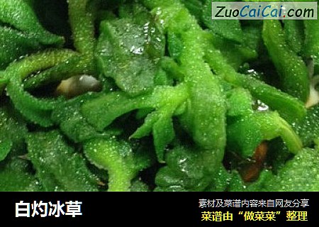 白灼冰草