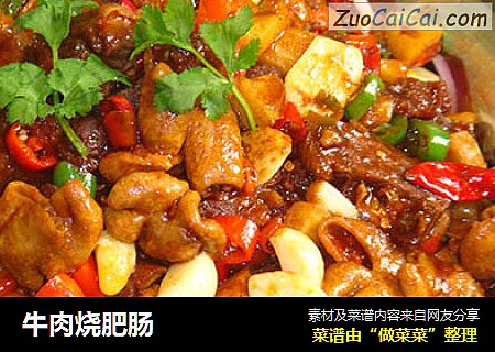 牛肉烧肥肠