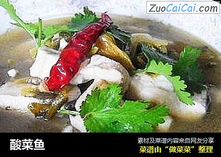 酸菜鱼