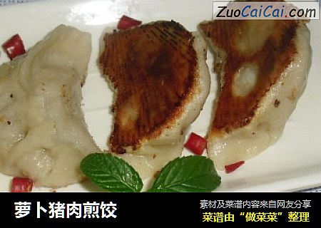 萝卜猪肉煎饺