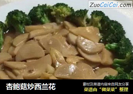 杏鲍菇炒西兰花