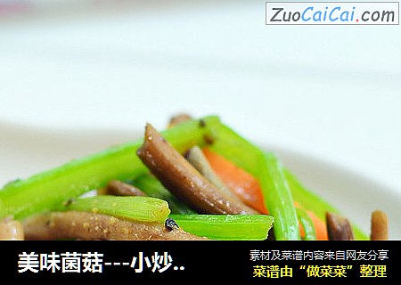美味菌菇---小炒茶树菇 依然美食