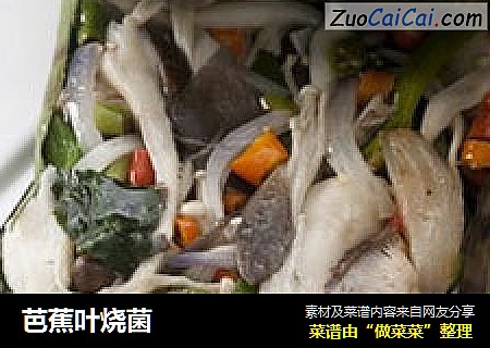 芭蕉叶烧菌