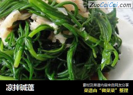 凉拌碱蓬