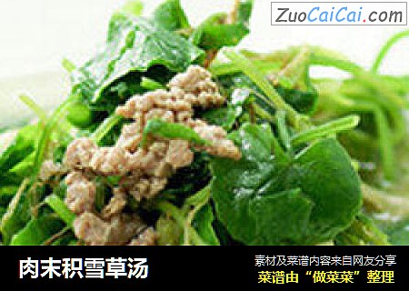 肉末积雪草汤