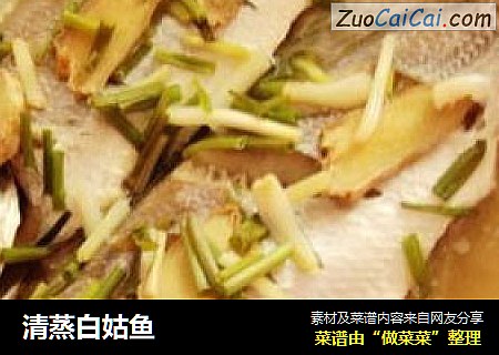 清蒸白姑鱼