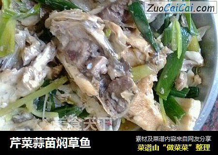 芹菜蒜苗焖草鱼